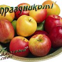 ���� ������, ����������, 52 ���� - ��������� 2 ����� 2018 � ������ ������ ��������