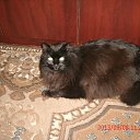 ���� �����, �����-���������, 63 ���� - ��������� 1 ������ 2018 � ������ ���� ����������