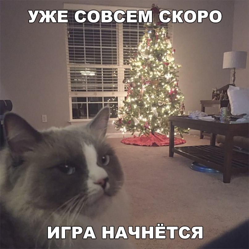    :D - 7  2017  03:42