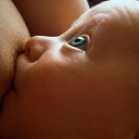 ���� ���������, ������, 44 ���� - ��������� 8 ������ 2018 � ������ ������ ��������