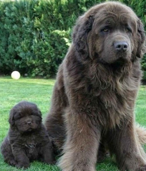 L(oO)k... 🌏 - 10  2018  10:56