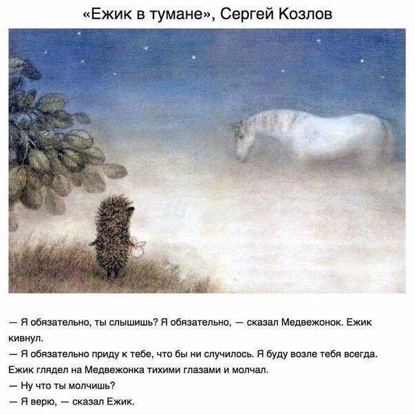 =Fox= - 6  2018  18:31