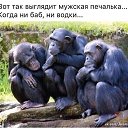 ���� ������., ���������, 50 ��� - ��������� 24 ������ 2018 � ������ ������ ��������