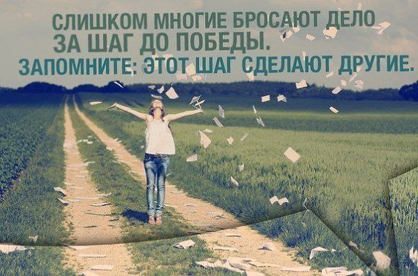 IQ Blog: , , ,  - 23  2017  03:25