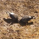 ���� ����, �����-��������� - ��������� 14 ������ 2018 � ������ ���������.�