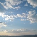 ���� ����, ������, 59 ��� - ��������� 22 ����� 2018 � ������ ���� ����������