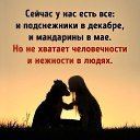���� ���������, ������, 59 ��� - ��������� 3 ��� 2018 � ������ ���� ����������