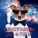 ���� ������, �������, 39 ��� - ��������� 31 ������� 2017 � ������ ������ ��������