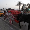 ���� Rita, ������, 67 ��� - ��������� 25 ���� 2018 � ������ ���� ����������