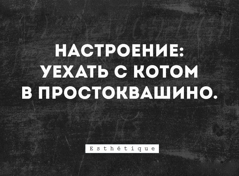 E s t h e t i q u e - 27  2018  02:52