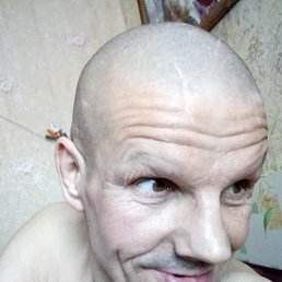 , 56 , -