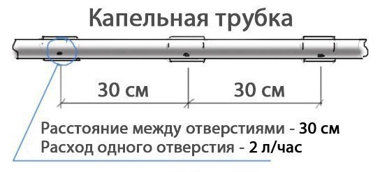 Как сделать простейший капельный полив из бочки? Не переживайте, ведрами черпать воду из бочки и ... - 3