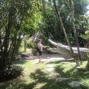 ���� �������, �����-��������� - ��������� 8 ���� 2018 � ������ ���� ����������