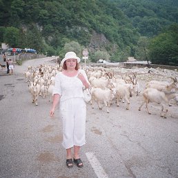 ����, ����, 54 ����