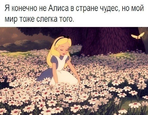    - 24  2018  02:48