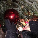 ���� �������, ������, 43 ���� - ��������� 24 ������� 2017 � ������ ���� ����������