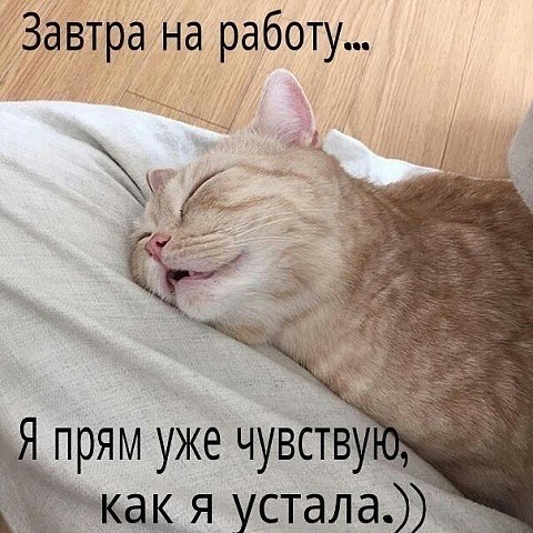 ☆ ☆ - 22  2018  02:59