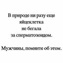 ���� ����, ����� - ��������� 15 ������ 2018 � ������ ������ ��������