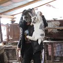 ���� ��, ����-�����������, 45 ��� - ��������� 12 ������� 2017 � ������ ���� ����������