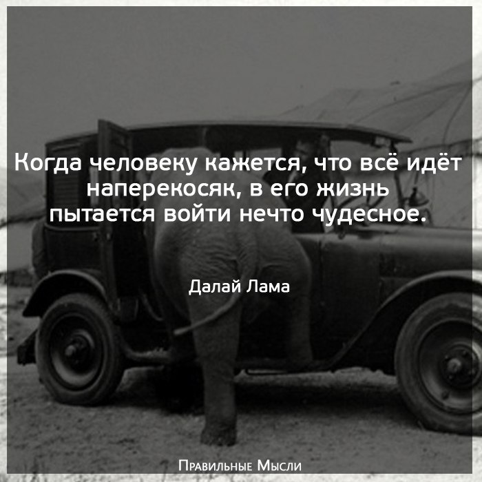  |   - 19  2018  02:58