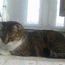  Saturn,  -  10  2018   