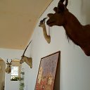 ���� Gala, ������ - ��������� 30 ����� 2018 � ������ �������� ���� 2018�