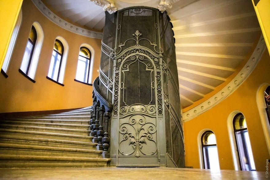 7 красивейших парадных Петербурга. Оригинальная лепнина, винтовые лестницы и кованые лифты — это не ...