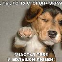 ���� �������, ������, 42 ���� - ��������� 29 ����� 2018 � ������ ������ ��������