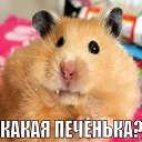 ���� ������, ������������ - ��������� 8 ������� 2018 � ������ ���� ����������