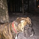 ���� ����, ����������, 58 ��� - ��������� 3 ������� 2017 � ������ ���� ����������