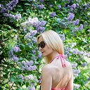 ��� - 2014. � ��������� ����. ������. �� ������� ���� ����������