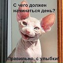 ���� �����, ����� - ��������� 7 ��� 2018 � ������ ������ ��������