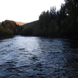 ����������, �������, 47 ���