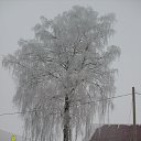 ���� �������, ������, 66 ��� - ��������� 20 ������ 2018 � ������ ���� ������ �� ��л