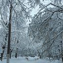 ���� ����, ������ - ��������� 7 ������� 2018 � ������ ������ ��������