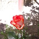 ���� ������, ������, 72 ���� - ��������� 20 ��� 2018 � ������ ������ ��������