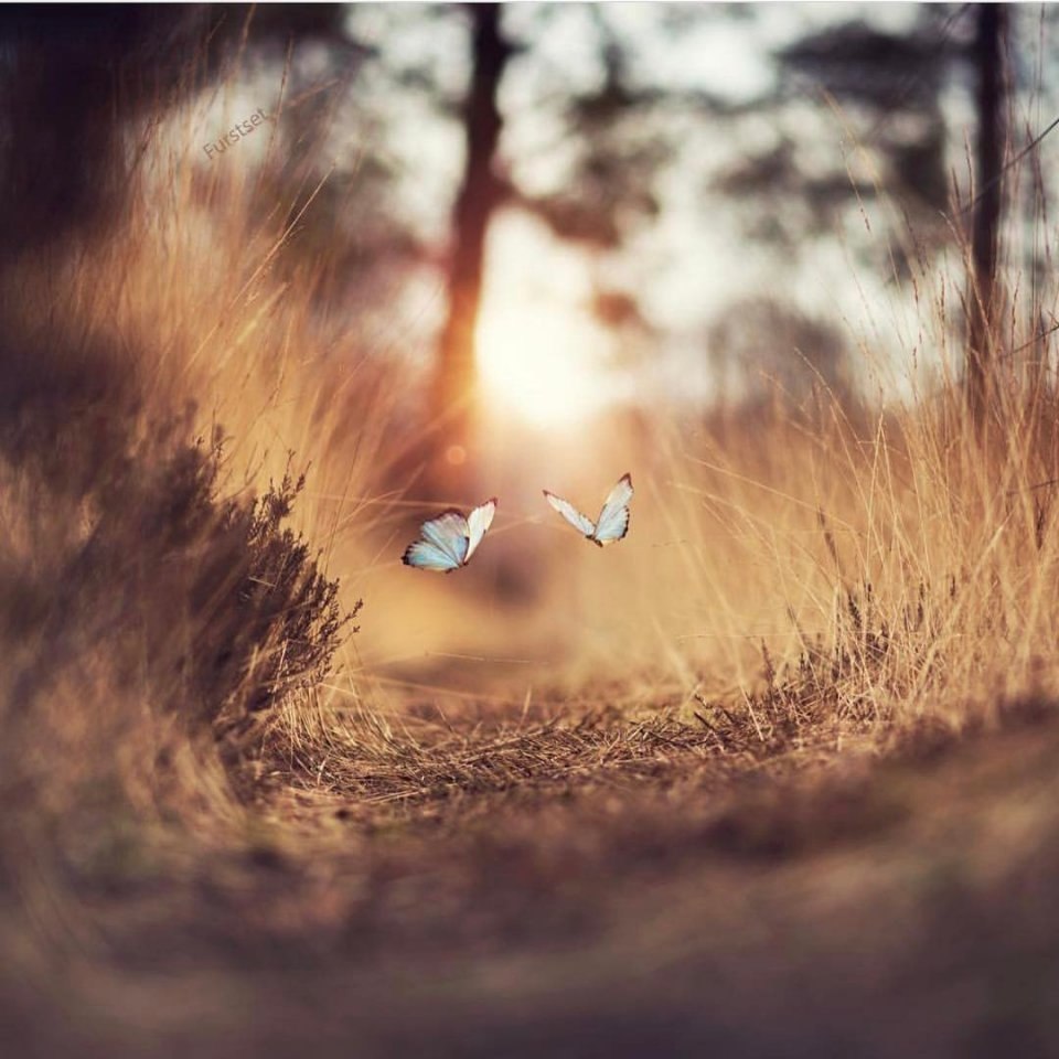     .     .     .  , ... - 5