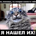 ���� �������, ��������, 44 ���� - ��������� 3 ���� 2018 � ������ ������ ��������