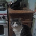 ���� �����.., �����������-��-�����, 47 ��� - ��������� 26 ������� 2018 � ������ ������ ������