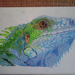 ����, ������������, 28 ���