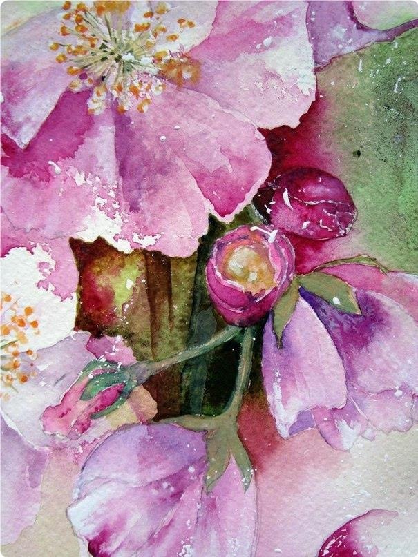 ea . Aop: Yvonne Harry. - 4