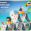 ���� Peter, ��������� - ��������� 15 ����� 2018 � ������ �������� �������-�������