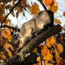 ���� �����, ���������, 58 ��� - ��������� 25 ������� 2018 � ������ ���� ����������