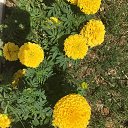  , -, 42  -  30  2018   , 2018 ()