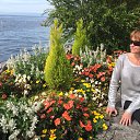  ,  -  21  2017     2017