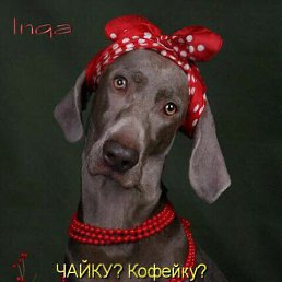 ���� �������, ������, 49 ��� - ��������� 18 ��� 2018