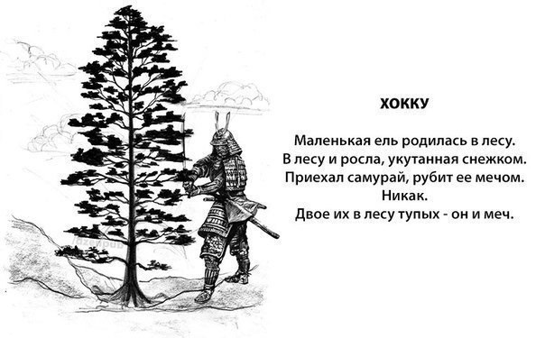   - 1  2017  15:10