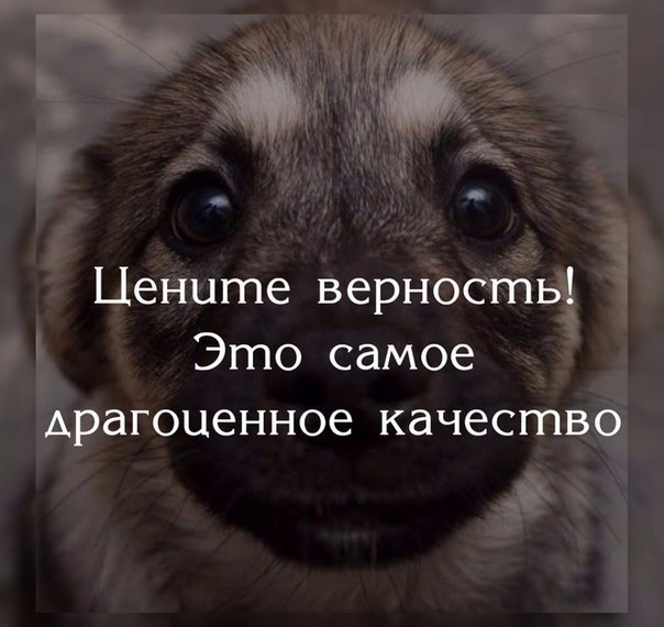     - 24  2018  03:06
