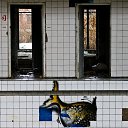 ���� ����, ���������, 43 ���� - ��������� 28 ���� 2018 � ������ ������ ��������