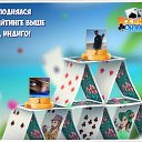 ���� ����, �����������, 61 ��� - ��������� 4 ������ 2018 � ������ �������� �������-�������